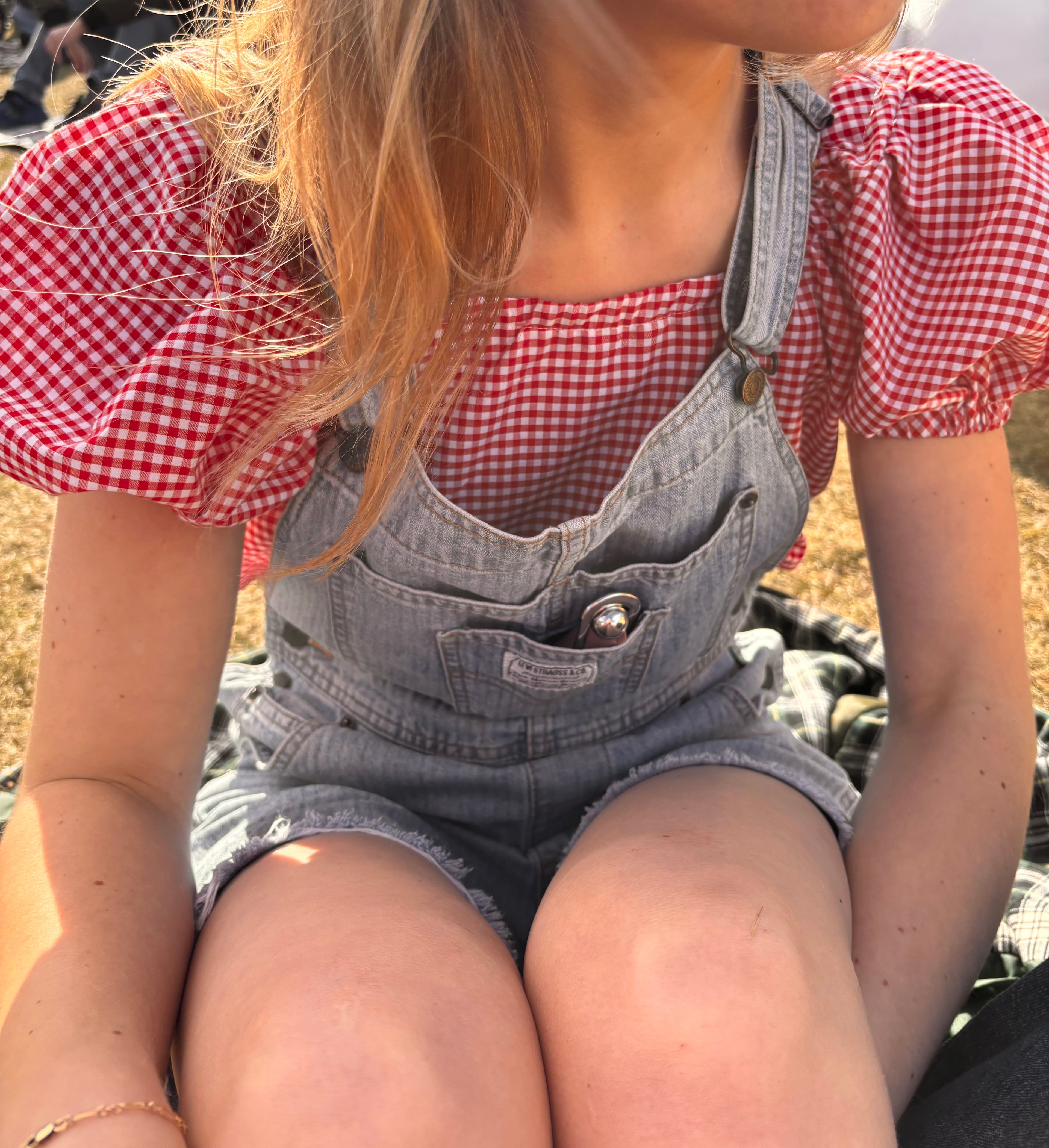 Madeline Blouse in Strawberry Gingham